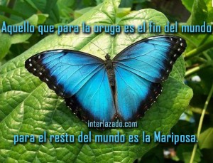 frases fin del mundo