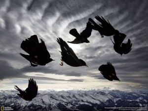 interlazados.com_natgeo 5